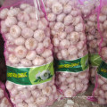 cheap price normal white garlic 20kg bag for Pakistan